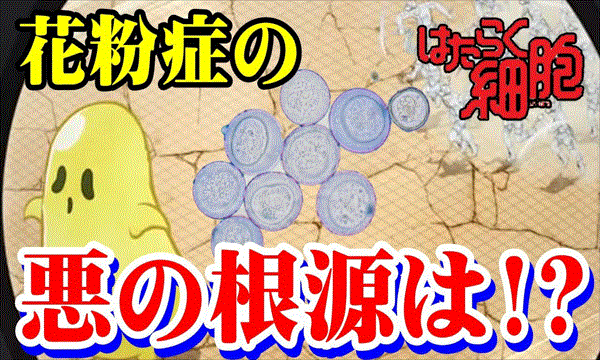 はたらく 細胞