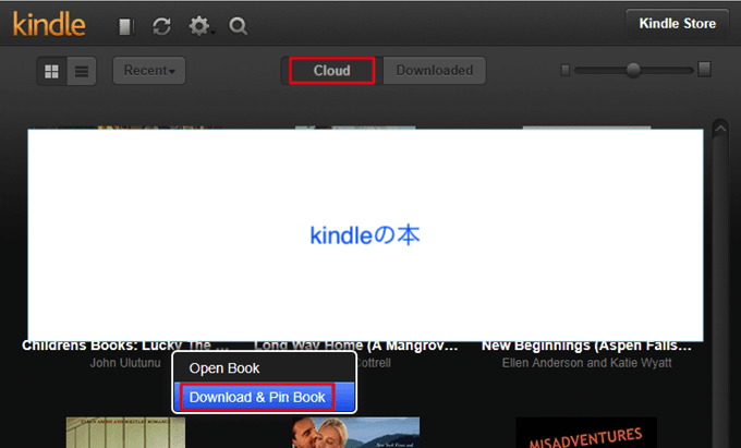 Kindle DRM Removal 4.23.11020.385 instal the last version for windows